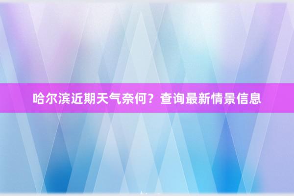 哈尔滨近期天气奈何？查询最新情景信息