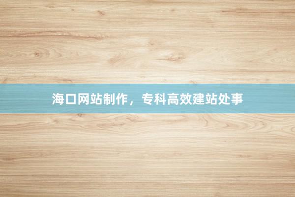 海口网站制作，专科高效建站处事