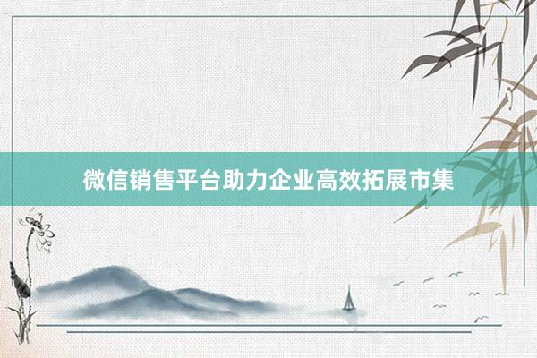 微信销售平台助力企业高效拓展市集